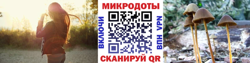 наркотики  Серпухов  Псилоцибиновые грибы прущие грибы 